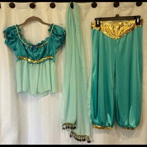 Disney Princess Jasmine Costume with Wig